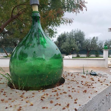 Il Vecchio Carrubo - Villa Con Piscina A Sfioro Macchia di Monte Exterior photo